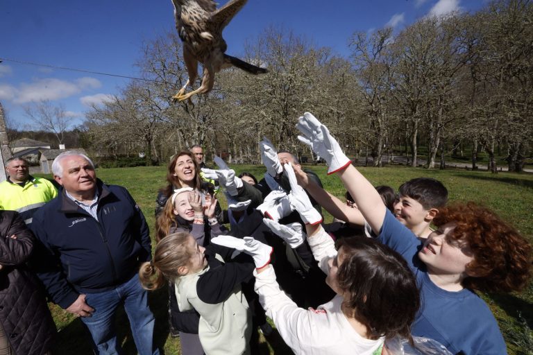 La Xunta atendió en 2025 a casi 4.600 animales de 200 especies en sus centros de recuperación de fauna