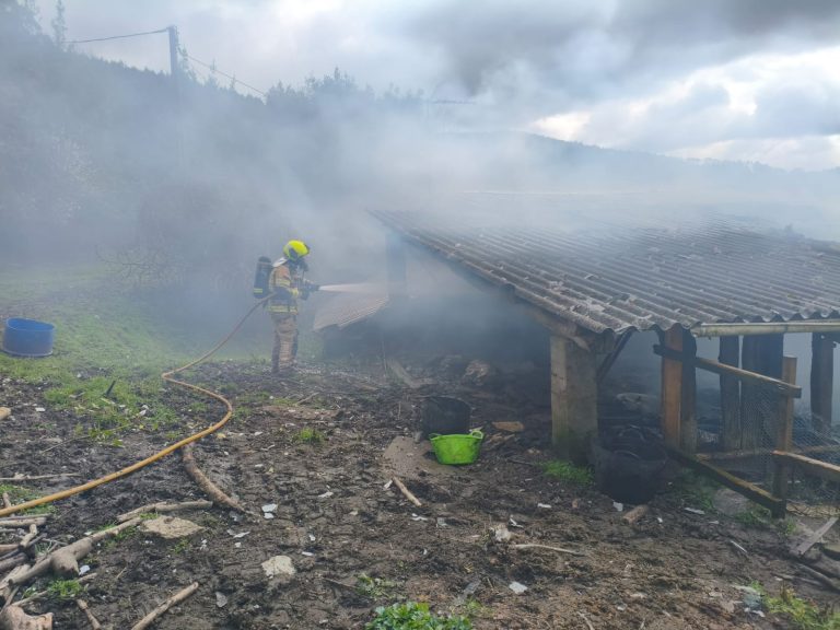 Arde por completo un alpendre en Neda (A Coruña) y un gato resulta herido
