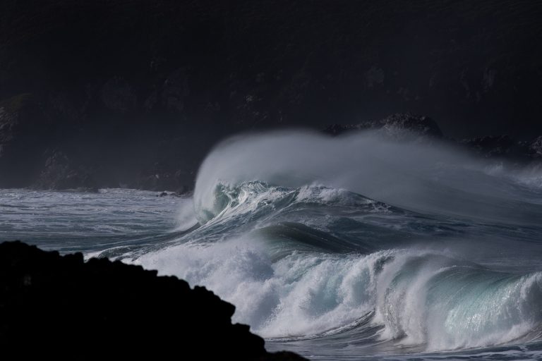 Los temporales causaron que más de 3.500 ejemplares de aves se protegiesen en las costas gallegas