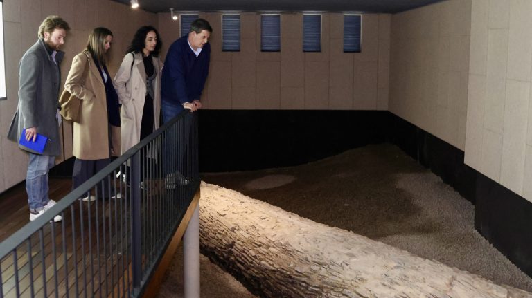 Besteiro reclama a la Xunta declarar el Museo da Romanización de Lugo como proyecto estratégico para Galicia