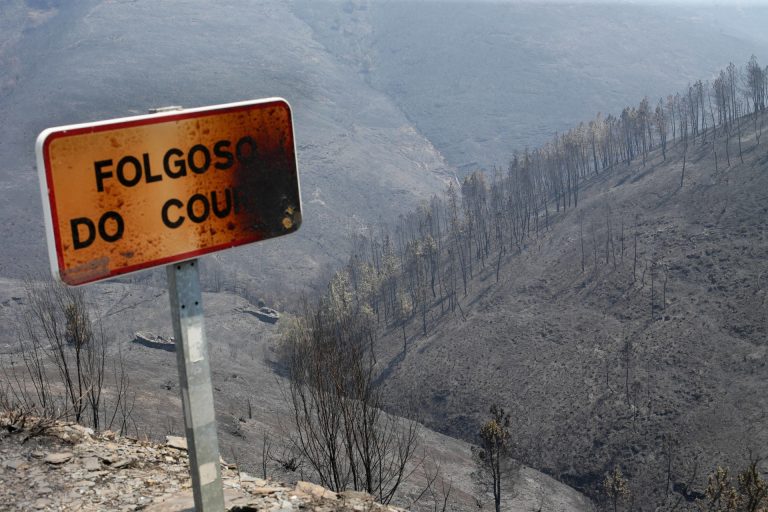Medio Ambiente ultima las actuaciones para la recuperación de bosques de O Courel arrasados por incendios de 2022