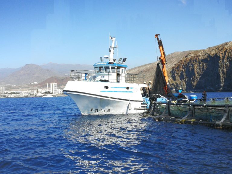 El Gobierno aprueba ayudas de más de 877 millones para sector agroalimentario y pesquero por subida de costes