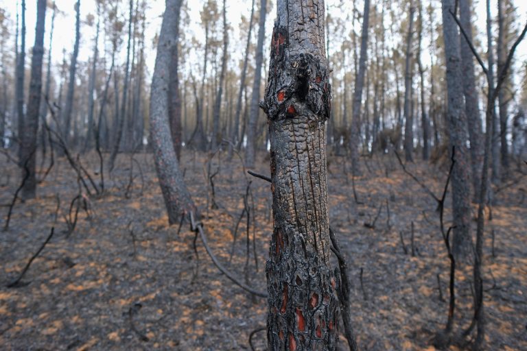 El PSdeG afirma que la «medida estrella» del Pladiga de una ‘app’ copia una petición de Besteiro en verano