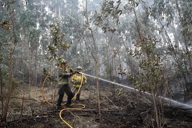 Rural.- CC.OO. reclama más medios propios de la Xunta ante los incendios y recuperar brigadas helitransportadas