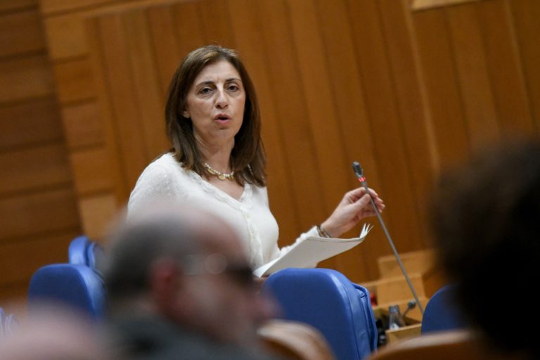 Pleno.- Medio Ambiente ve «un gran insulto» la convocatoria de conferencia sectorial «por escrito» y sin tratar Costas