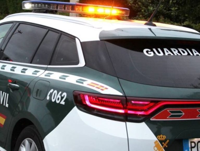 Sucesos.- Identifican a dos personas como los dueños de los perros que atacaron a una septuagenaria en Tomiño