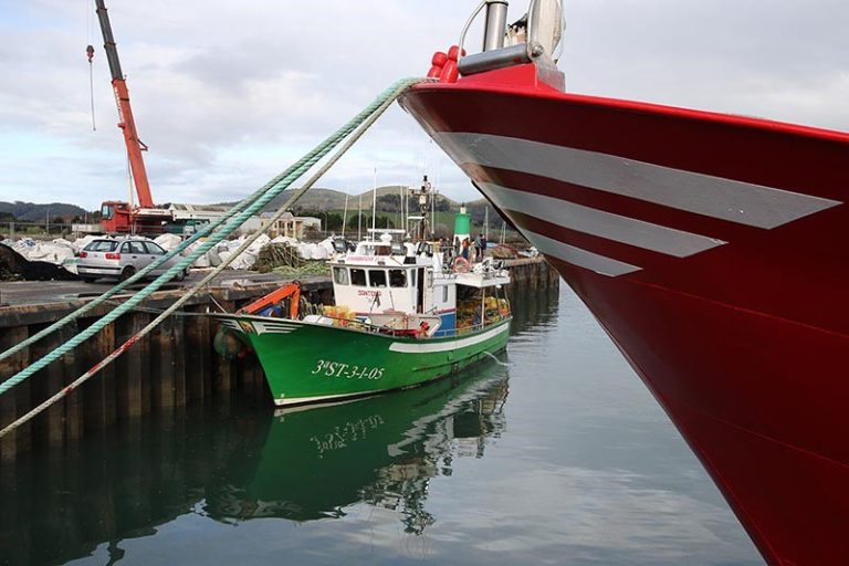 El peso del empleo autónomo en Galicia es tres puntos superior al del conjunto estatal: 18,8% frente a 15,8%
