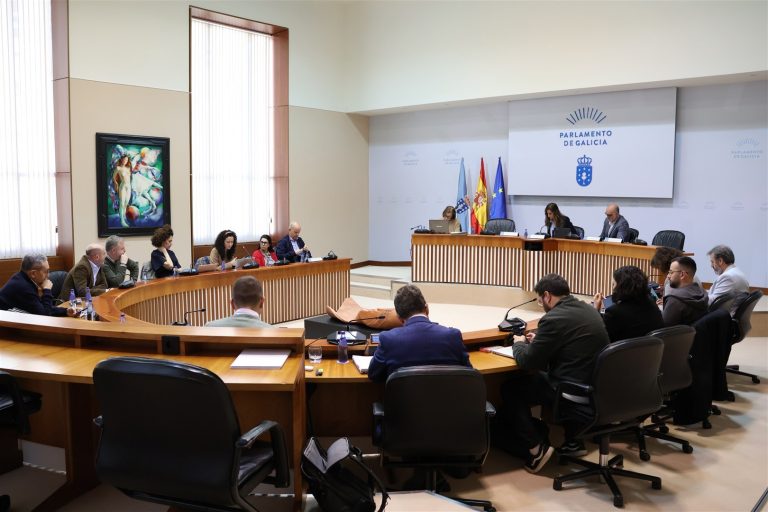 El Parlamento insta al Gobierno a aprobar «con diálogo real» el Plan Estatal de Vivienda 2026-2030