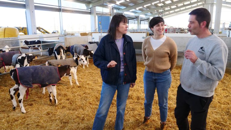 Rural.- Pontón pide actuaciones a la Xunta para evitar que la industria baje el precio de la leche