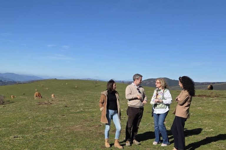 Rural.- El PP de Lugo lamenta el «abandono» del Gobierno central a los ganaderos afectados por los ataques del lobo