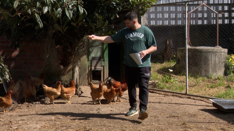 Carlos López, de Avicultura Artesanal A Senra: «El final del confinamiento significa aumentar la calidad»