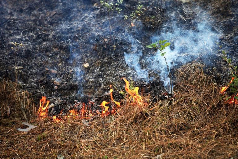 Rural.- Determinan que quemas agrícolas fueron la causa de incendios forestales en Boborás y Boiro, con tres implicados