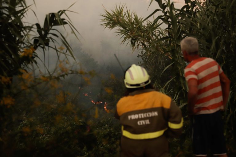 Rural.- Extinguido un incendio forestal en Arbo (Pontevedra) que quemó 33 hectáreas de monte raso
