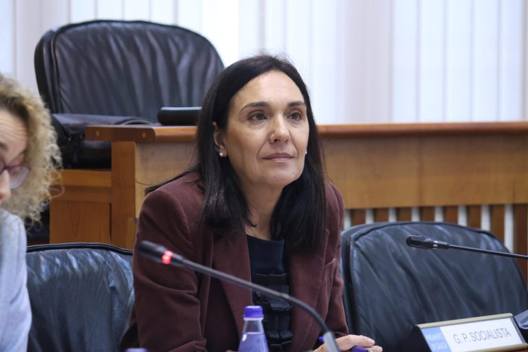 PSdeG denuncia que Galicia se enfrenta a los incendios de verano con una estrategia «caducada» y sin aprobar el Pladiga
