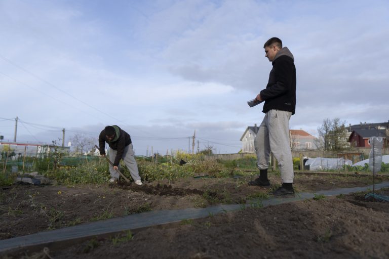 Los huertos urbanos, una propuesta en auge en Galicia: «La recompensa son productos ecológicos»