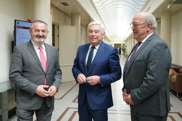 El PPdeG interpela en el Senado al Gobierno sobre el recurso ante el TC que afecta a eólica y dependencia