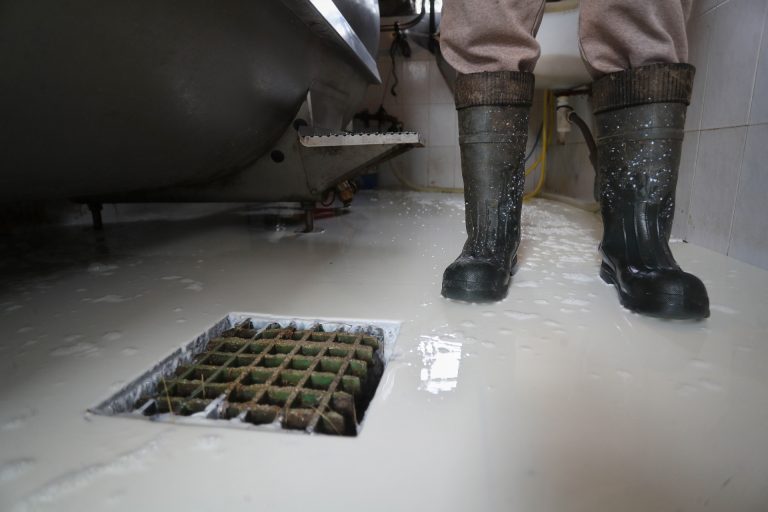 Rural.- Cuatro ganaderos se quedan sin comprador de leche por la negativa de Reny Picot: «La tenemos que tirar»