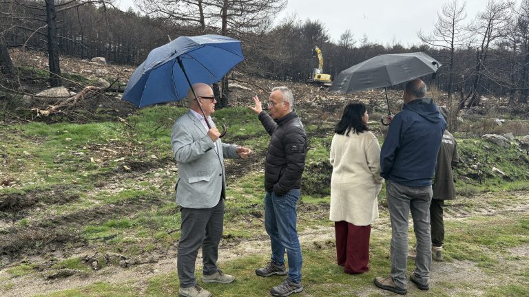 Eladio Santos celebra la inversión del Gobierno para restauración forestal de municipios de Ourense afectados por fuegos