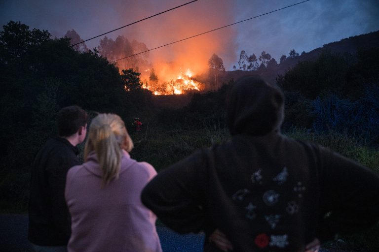 Rural.- Medio Rural entrega alimentos para un centenar de vacas de una granja en Pazos de Borbén afectada por el fuego
