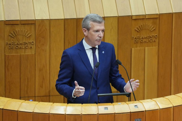 DEA.-El control de bajas marca el debate: del intento del PP de retocar su propuesta a BNG y PSdeG en busca de disculpas