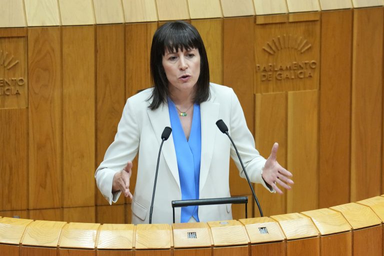 Pontón (BNG) asegura que Rueda demostró en el DEA su «incapacidad» para dar soluciones a los problemas de los gallegos