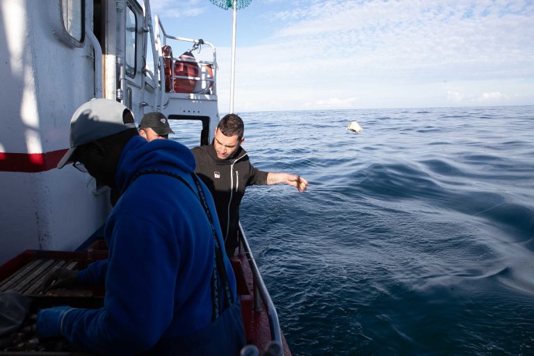 Pesca.- Bruselas activa ayudas de emergencia para el sector pesquero por el impacto de la crisis en Oriente Próximo