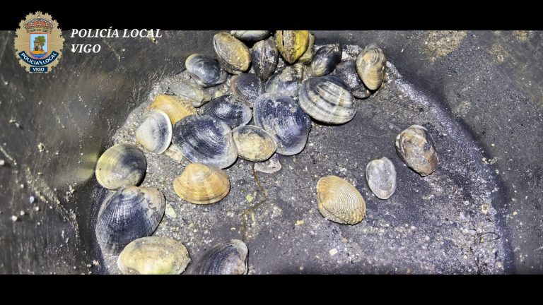 Denunciados dos furtivos sorprendidos dos noches consecutivas extrayendo almeja en Teis (Vigo)