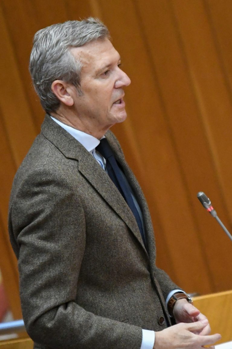 Pleno.- Rueda reprende a Pontón por «criminalizar» a Villares: «Mandó a tomar viento su presunción de inocencia»