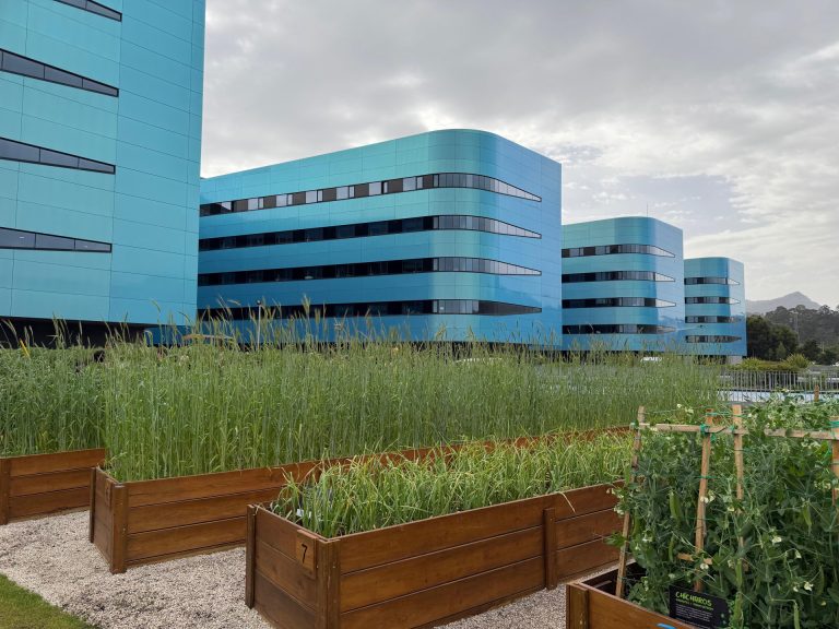 El hospital Álvaro Cunqueiro de Vigo estrena su nueva huerta como un espacio «terapéutico, educativo y solidario»