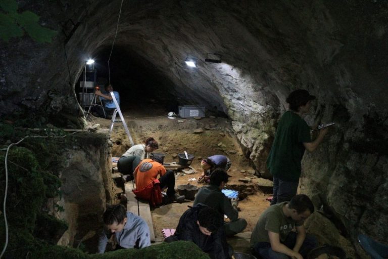 Un estudio de la USC en Cova Eirós (Lugo) aporta nuevos datos sobre las especies consumidas en el paleolítico