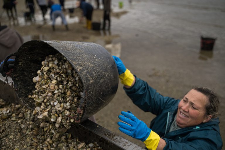 Pesca.- El ISM compromete la exención de cuotas a mariscadoras que no perciben prestación de cese de actividad
