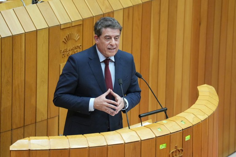 Besteiro (PSdeG) reivindica la Ley General de Sanidad y alerta de una atención primaria «desatendida» en Galicia