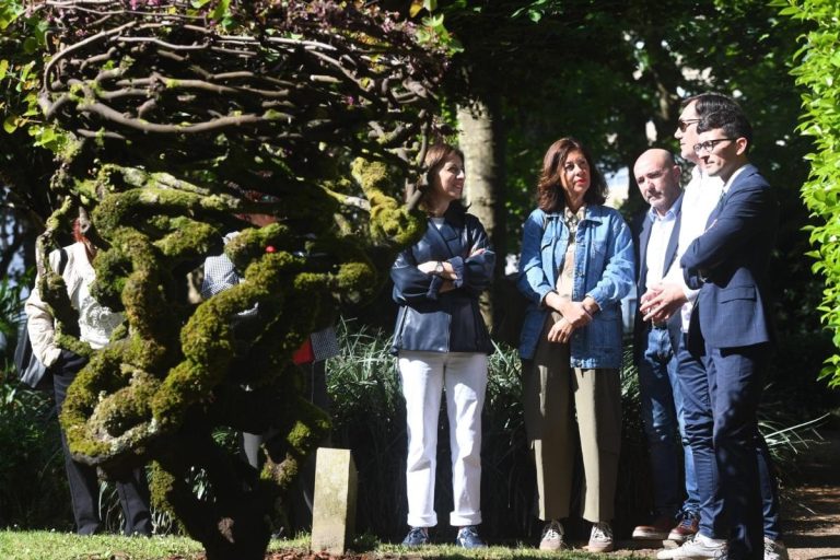 La Xunta concede más de 72.000 euros para ejecutar actuaciones de conservación y mejora de 23 árboles singulares