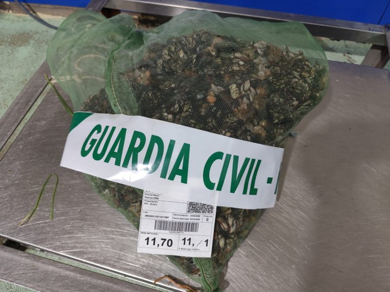 Sucesos.- Interceptado un furtivo con varios kilos de percebes extraídos de forma ilegal en Viveiro (Lugo)
