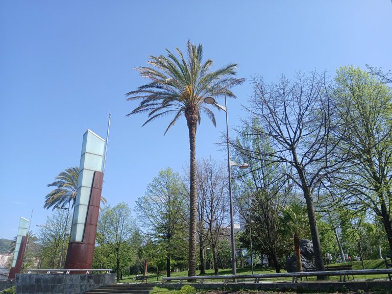 El tiempo se estabiliza este domingo, suben las temperaturas máximas y se esperan tormentas en el norte
