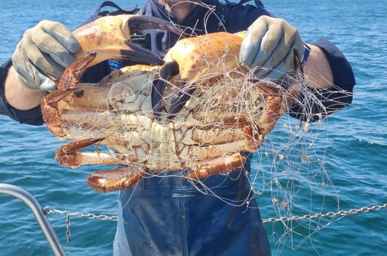 Pesca.- Gardacostas incauta 225 kilos de pescado y marisco, además de 770 artes de pesca, entre Corrubedo y Baiona