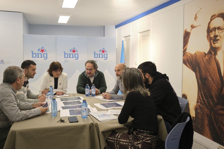 El BNG reclama una reforma integral de la N-541 en Cerdedo Cotobade para garantizar la seguridad vial
