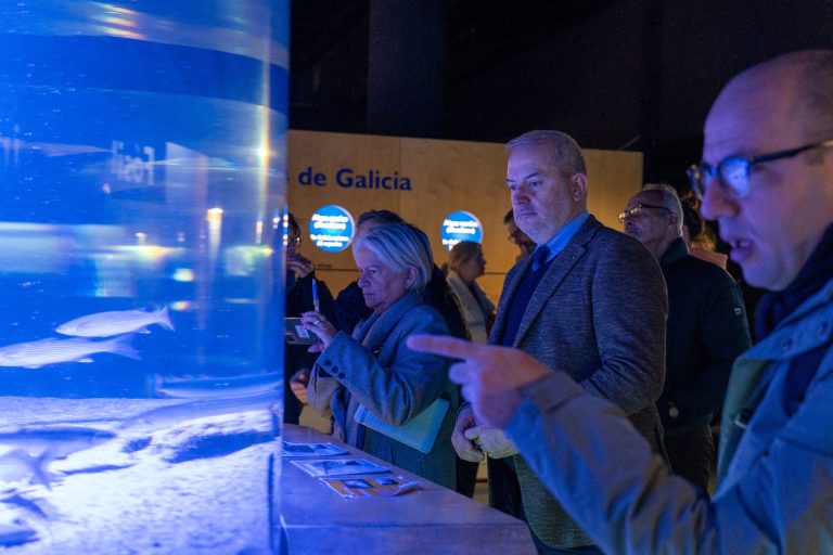 Llega al Acuario de A Coruña una nueva foca, procedente de un intercambio con el Oceanográfico de Valencia