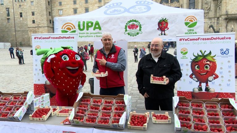 Productores piden un año más «la complicidad del consumidor» con un reparto de fresas de Huelva en el Obradoiro