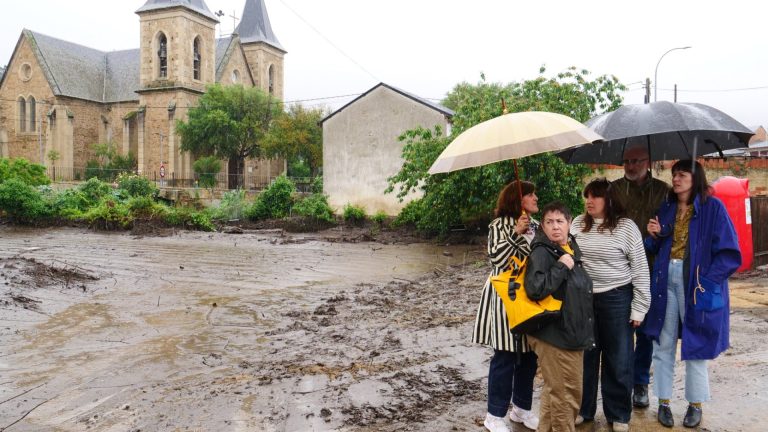 Pontón pregunta a la Xunta si limpiará franjas de seguridad en municipios de menos de 10.000 habitantes antes de junio