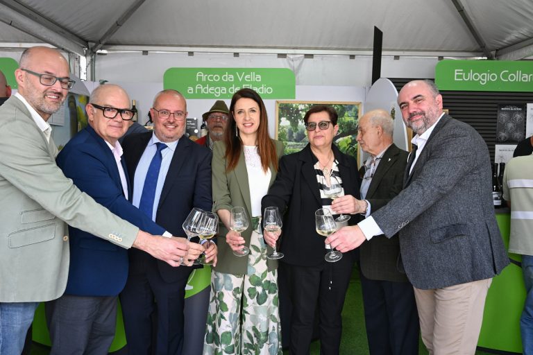 Rural.- La Xunta reafirma su apoyo al sector vitivinícola en la LXIII Feira do Viño do Ribeiro en Ribadavia (Ourense)