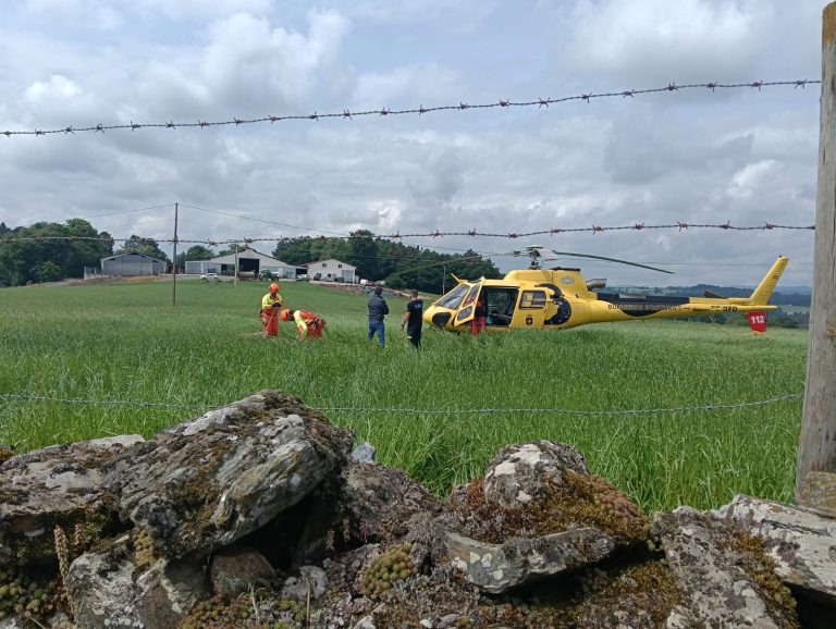 Rescatadas todas las vacas que se cayeron en un precipicio de Lugo con la colaboración de un helicóptero de Asturias
