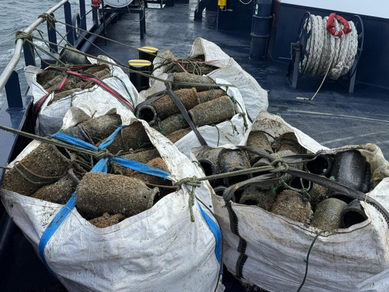 Incautados en A Guarda (Pontevedra) 75 kilos de pulpo y 430 cacharros ilegales con la veda ya iniciada