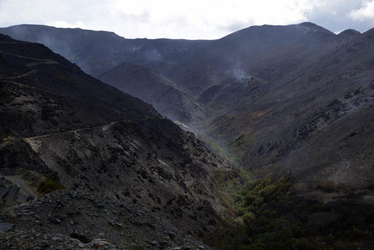 Rural.- La Xunta permite excepciones a la prohibición general de pastoreo en zonas afectadas por incendios