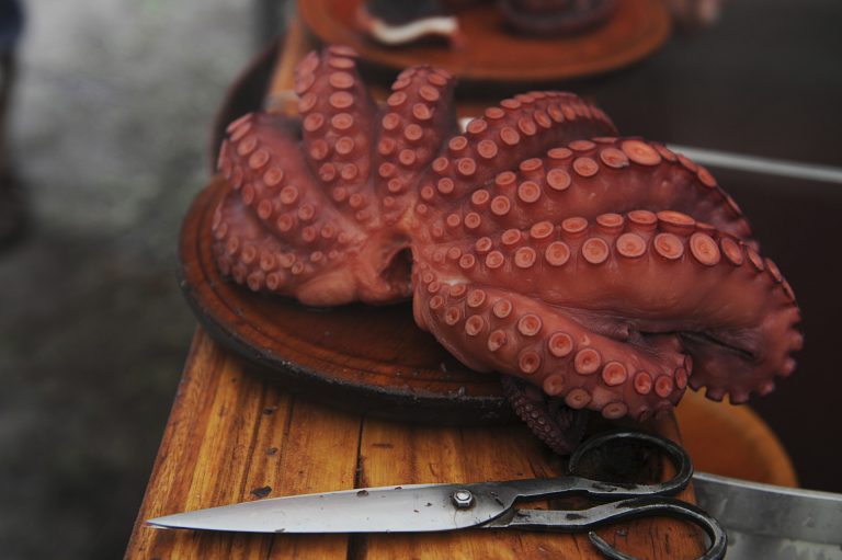 Pesca.- Publicado el plan para el pulpo para la campaña 2026-2027, que recoge la veda en mayo y junio