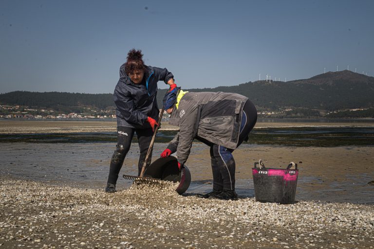 Pesca.- Denuncian «lentitud y abandono» de la Xunta para activar los convenios con cofradías para el pago a mariscadoras