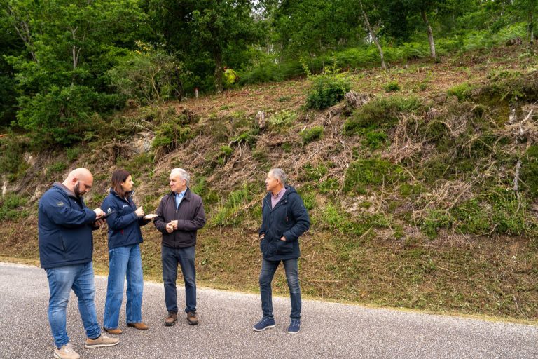 Rural.- La Xunta apela a contratar con Seaga la limpieza de determinados terrenos