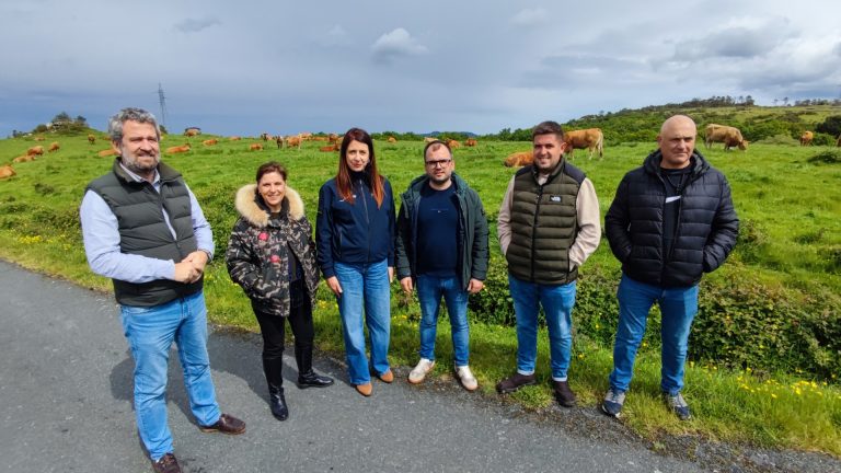 Rural.- Medio Rural creará nuevos pastizales en las cuatro provincias gallegas, uno de ellos en Viveiro de 30 hectáreas