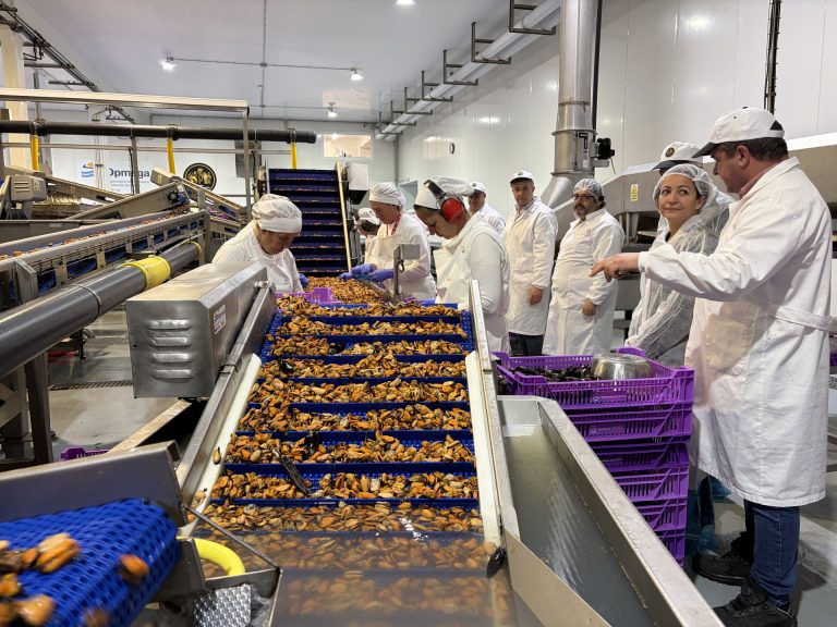 La presencia de toxinas obliga a cerrar prácticamente todos los polígonos de mejillones de Galicia