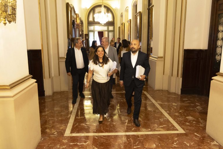 El pleno de A Coruña avanza en la actuación del parque del Agra, con creación de vivienda protegida